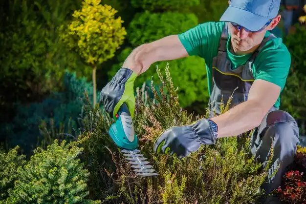 landscaping services Raynham Center